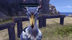 画像ギャラリー No.003のサムネイル画像 / 「イースVIII」リコッタが“母上”と呼ぶ寡黙な鳥「ハシビロコウ」が公開に。やり込み要素の一つ「フィッシング」の情報も