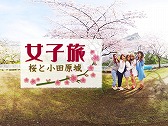 画像ギャラリー No.005のサムネイル画像 / 360度のパノラマ映像と3Dオーディオでカラオケ体験ができる「JOYSOUND VR」がTGS 2016に出展