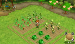 画像ギャラリー No.031のサムネイル画像 / 話題の新作RPG「ポポロクロイス牧場物語」プレイレポート。懐かしくも新しい,ピエトロ王子・13歳の大冒険を見届けよう
