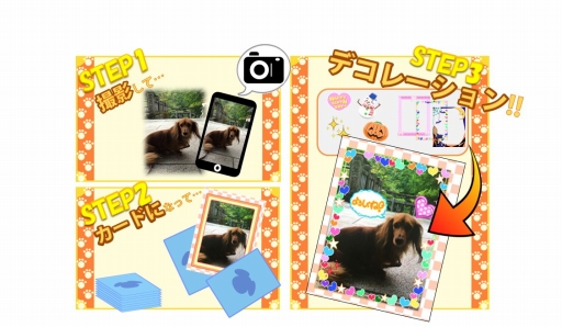 画像ギャラリー No.002のサムネイル画像 / 撮影した愛犬が主役になるスマホ向けゲーム「ワンコロ」，10月24日に配信