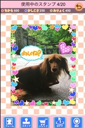 画像ギャラリー No.005のサムネイル画像 / 撮影した愛犬が主役になるスマホ向けゲーム「ワンコロ」，10月24日に配信