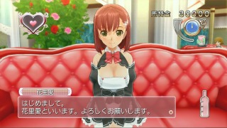画像ギャラリー No.014のサムネイル画像 / ディースリー・パブリッシャー,最大60%オフの年末年始セールを実施