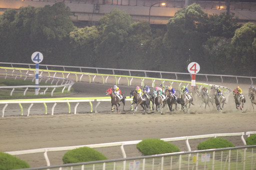 画像ギャラリー No.010のサムネイル画像 / 東京シティ競馬で「Winning Post」の冠レースが開催。会場内には特設ブースも設置され,豪華賞品が当たる抽選会も