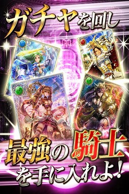 騎士姫