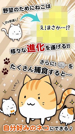 これはにゃんこですか?