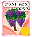 画像ギャラリー No.005のサムネイル画像 / 農園経営と結婚生活をダブルで体験できる「農園婚活」のiOS版が配信開始