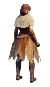 画像ギャラリー No.072のサムネイル画像 / 「Dragon's Dogma Online」,CBT1のPS4版先行募集が先着1万名限定で本日開始。アーリーアクセス権付きパッケージの特典内容も一部公開