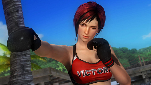 画像ギャラリー No.003のサムネイル画像 / 「DOA 5 Last Round」,基本無料版累計ダウンロード数が800万を突破。PS Plus加入者限定キャンペーンも