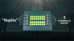 画像ギャラリー No.007のサムネイル画像 / AMDのサーバー向け次世代CPU「Naples」は2017年第2四半期に出荷。32コア64スレッド対応でメモリコントローラは8ch，PCIe Gen.3レーン数128