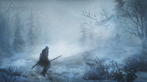画像ギャラリー No.008のサムネイル画像 / 「DARK SOULS III」待望のDLC第1弾「ASHES OF ARIANDEL」は10月25日より配信へ。2017年初頭配信のDLC第2弾も見据えたDLCシーズンパスも