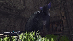画像ギャラリー No.006のサムネイル画像 / トリコがそこに“いる”。「The Last Guardian VR」は少年視点でトリコの可愛さや遺跡の高さが堪能できる