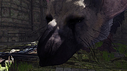 画像ギャラリー No.009のサムネイル画像 / トリコがそこに“いる”。「The Last Guardian VR」は少年視点でトリコの可愛さや遺跡の高さが堪能できる