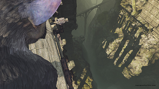 画像ギャラリー No.011のサムネイル画像 / トリコがそこに“いる”。「The Last Guardian VR」は少年視点でトリコの可愛さや遺跡の高さが堪能できる