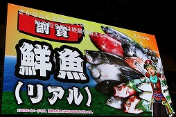 画像ギャラリー No.014のサムネイル画像 / 「ドラゴンクエストX」の大型アップデート「Version 3.4後期」の最新情報が公開された「ジャンプフェスタ2017」のステージイベントをレポート