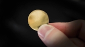 画像ギャラリー No.003のサムネイル画像 / 新宿駅に超大型巨人出現。ゲーム「進撃の巨人」発売記念イベント「ウォール・新宿奪還作戦」が2月18日に開催決定