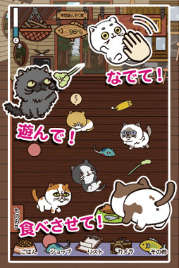 注文の多いブサ猫軒
