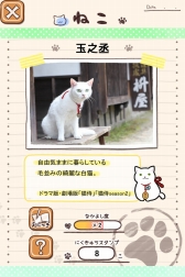 画像ギャラリー No.002のサムネイル画像 / TVドラマ“猫侍”の公式アプリ「玉之丞といっしょ」の配信が決定。2016年１月中旬リリース