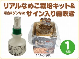 画像ギャラリー No.002のサムネイル画像 / 「なめこ栽培キット HD」&「なめこ栽培キットSeasons HD」でTwitterキャンペーン