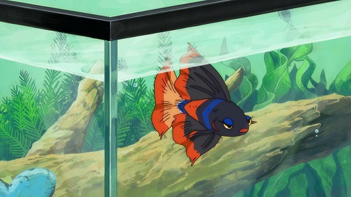 画像ギャラリー No.011のサムネイル画像 / そうだ アニメ,見よう:第265回はキネマシトラス15周年記念作品「さよならララ」。滋賀県琵琶湖で繰り広げられる現代版「人魚姫」