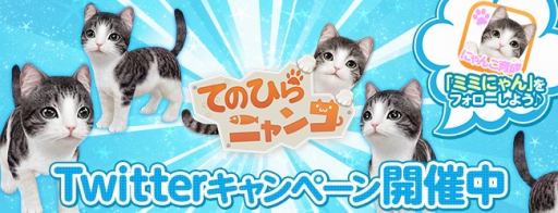 画像ギャラリー No.002のサムネイル画像 / 「てのひらニャンコ」，公式Twitterアカウントのフォローキャンペーンを実施