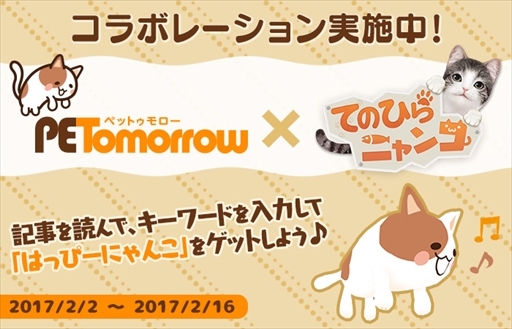 画像ギャラリー No.001のサムネイル画像 / 「てのひらニャンコ」,猫や犬の情報発信サイト「ペットゥモロー」とのコラボレーションを開始