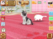 画像ギャラリー No.003のサムネイル画像 / 「てのひらニャンコ」,猫や犬の情報発信サイト「ペットゥモロー」とのコラボレーションを開始