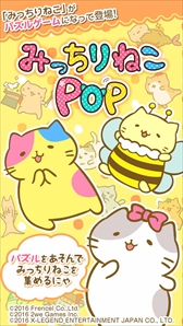 画像ギャラリー No.003のサムネイル画像 / 「みっちりねこPOP」，動画で話題の美猫「はにー」が新登場。お得なアップデート情報も