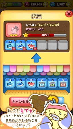 画像ギャラリー No.006のサムネイル画像 / 「みっちりねこPOP」，動画で話題の美猫「はにー」が新登場。お得なアップデート情報も