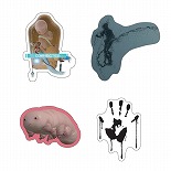 画像ギャラリー No.012のサムネイル画像 / 「DEATH STRANDING」5周年記念展覧会＆ポップアップショップ，名古屋会場と心斎橋会場の詳細を公開。原画展示は会場ごとに内容が変更される