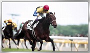 画像ギャラリー No.003のサムネイル画像 / 「Winning Post スタリオン」,限定クエストに“ディープインパクト”などが登場