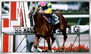 画像ギャラリー No.004のサムネイル画像 / 「Winning Post スタリオン」,限定クエストに“ディープインパクト”などが登場