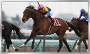 画像ギャラリー No.005のサムネイル画像 / 「Winning Post スタリオン」,限定クエストに“ディープインパクト”などが登場