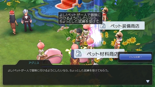 画像ギャラリー No.046のサムネイル画像 / ペットを活用して「ラグナロク マスターズ」の冒険を快適に！　プレイ日記その3：2次職への転職の流れとペットシステムを解説
