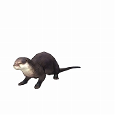 画像ギャラリー No.006のサムネイル画像 / 「CARAVAN STORIES」，全国7か所の動物園&水族館とコラボイベントが開催中