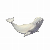 画像ギャラリー No.008のサムネイル画像 / 「CARAVAN STORIES」，全国7か所の動物園&水族館とコラボイベントが開催中