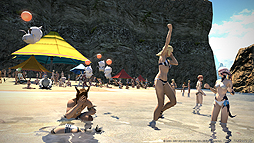 画像ギャラリー No.007のサムネイル画像 / 「FFXIV:紅蓮のリベレーター」のベンチマークソフトが配信開始。製品版と同等のキャラクリエイションも体験可能