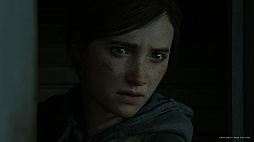 画像ギャラリー No.012のサムネイル画像 / PS4用ソフト「The Last of Us Part II」は，2020年2月21日に発売。予約受付もスタート