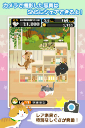 画像ギャラリー No.007のサムネイル画像 / 歩いて“ねこ”を育てよう，歩数計付き育成ゲーム「にゃん歩計」が配信中