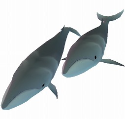 画像ギャラリー No.004のサムネイル画像 / 「アビスリウム」，新しい魚やキューピットが登場するバレンタインイベントを開催