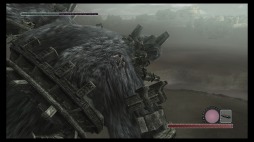 画像ギャラリー No.008のサムネイル画像 / 完全リメイクのPS4版「ワンダと巨像」発売に向けて,HDリマスター版(PS3)をプレイムービーで振り返る