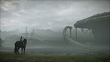 画像ギャラリー No.008のサムネイル画像 / PS4「ワンダと巨像」に実装される“フォトモード”が公開。PS4 Proでは4K解像度または60fpsでのプレイに対応とスペシャルサイトに掲載