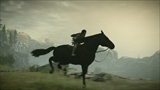 画像ギャラリー No.015のサムネイル画像 / PS4「ワンダと巨像」に実装される“フォトモード”が公開。PS4 Proでは4K解像度または60fpsでのプレイに対応とスペシャルサイトに掲載