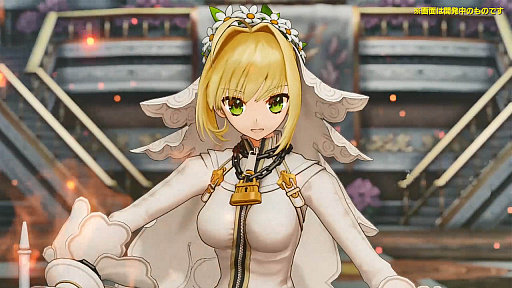 画像ギャラリー No.009のサムネイル画像 / 「Fate/Grand Order Arcade」,オリジナル概念礼装「英霊華像」の一部などを先行公開