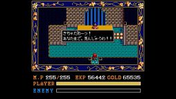 画像ギャラリー No.009のサムネイル画像 / 「イースII(MSX2版)」がYahoo!ゲーム ゲームプラスのEGGYに登場