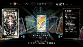 画像ギャラリー No.022のサムネイル画像 / 「ドラゴンズクラウン・プロ」,プレイヤーが操るキャラクター6人やスキルの特徴を紹介する第2報を掲載