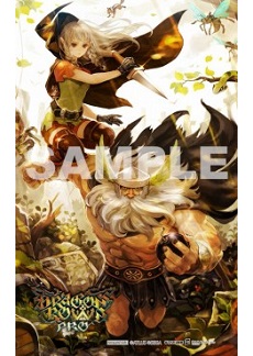 画像ギャラリー No.015のサムネイル画像 / 「ドラゴンズクラウン・プロ」新録BGMの試聴動画と,キャラクター「アマゾン」の紹介動画が公開に。11月19日開催「スペシャル体験会」の情報も