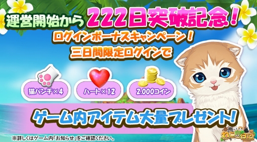 画像ギャラリー No.004のサムネイル画像 / 「ねこ島日記」,新テーマソングに“みゆはん”の「ユーアンダイ」を起用