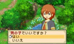 画像ギャラリー No.005のサムネイル画像 / 「牧場物語 ふたごの村+」プレイレポート。リメイクを経てより遊びやすく,シリーズ初心者でも迷わず遊べる作品に