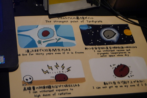 画像ギャラリー No.030のサムネイル画像 / 「BitSummit Vol.6」の注目インディーズゲーム10本を紹介。PS4用スタイリッシュACTやクマムシ研究アプリ,カニがケンカするPCゲームなど