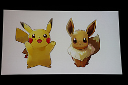 画像ギャラリー No.028のサムネイル画像 / ポケモン新作発表会詳報。「ポケットモンスター Let's GO! ピカチュウ・イーブイ」「ポケモンクエスト」に加えて,2019年後半にシリーズ完全新作をリリース